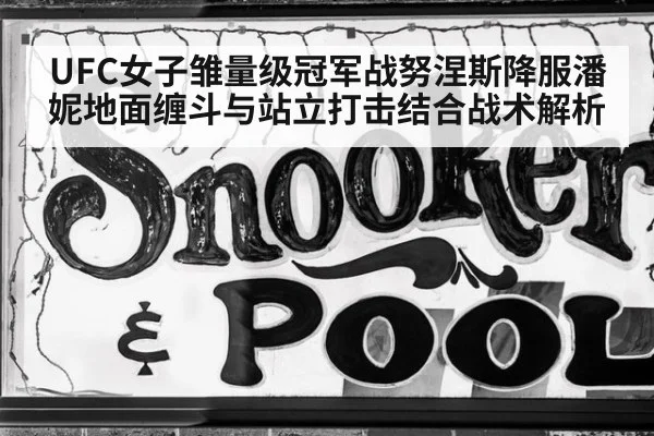 UFC女子雏量级冠军战努涅斯降服潘妮地面缠斗与站立打击结合战术解析