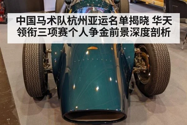 中国马术队杭州亚运名单揭晓 华天领衔三项赛个人争金前景深度剖析 | kaiyun